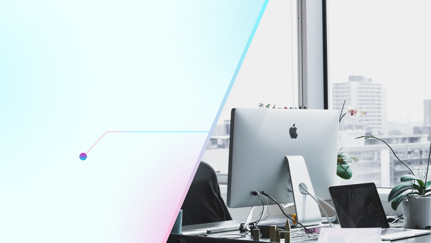 Case Studies Preview